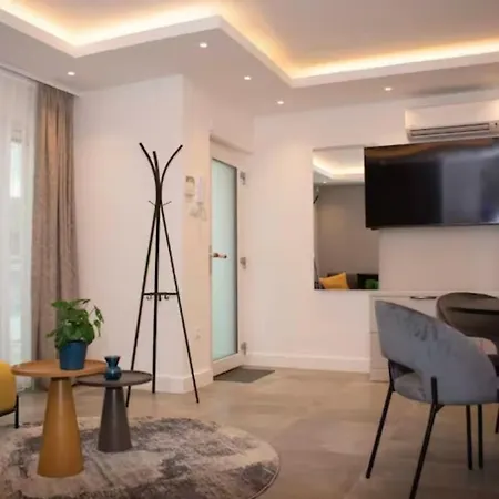 Luxury Cozy Downtown Apartament